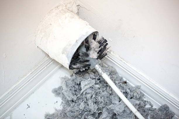 Best Residential Air Duct Cleaning  in Fort Meade, FL